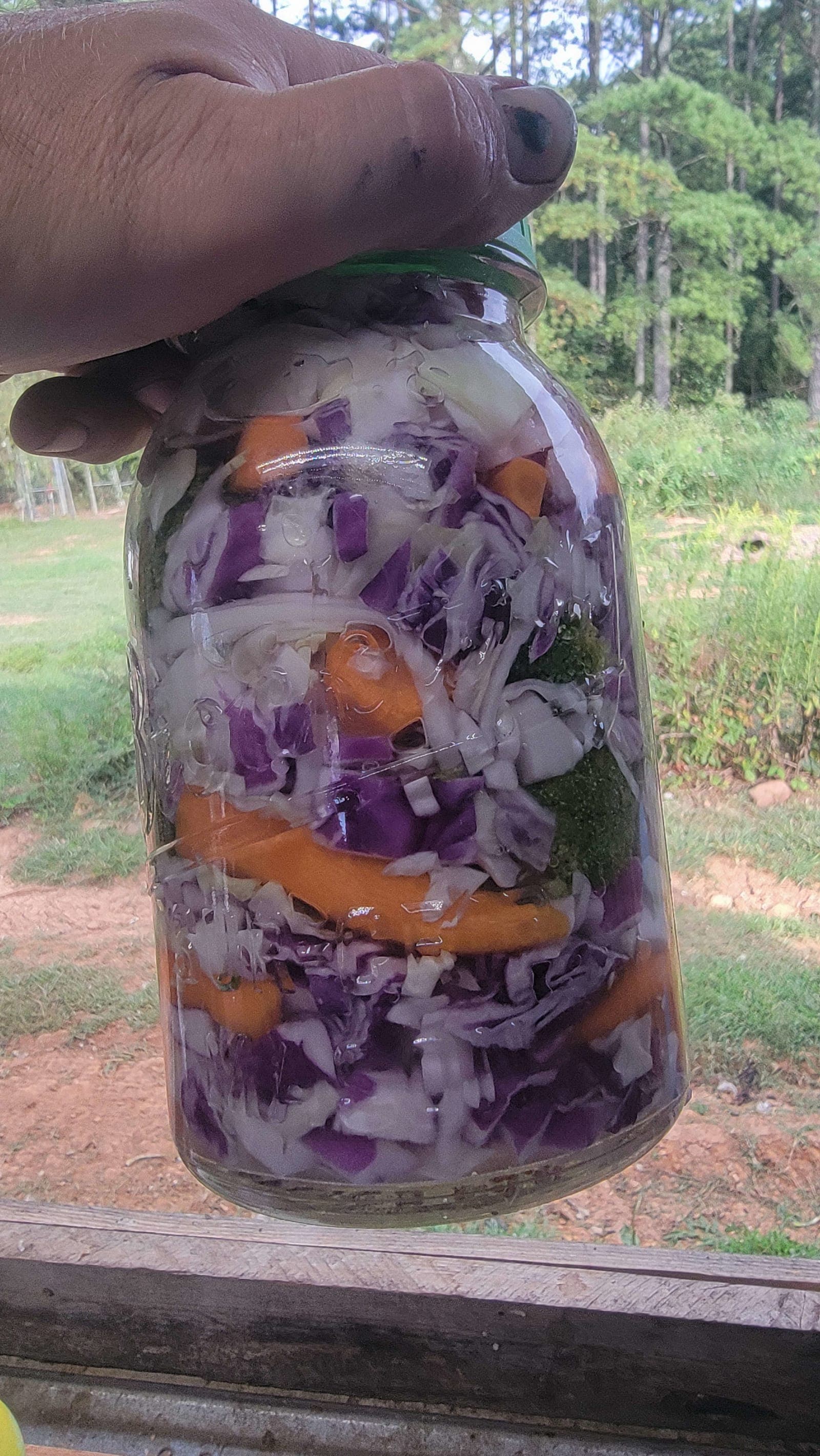 Fermented vegetables