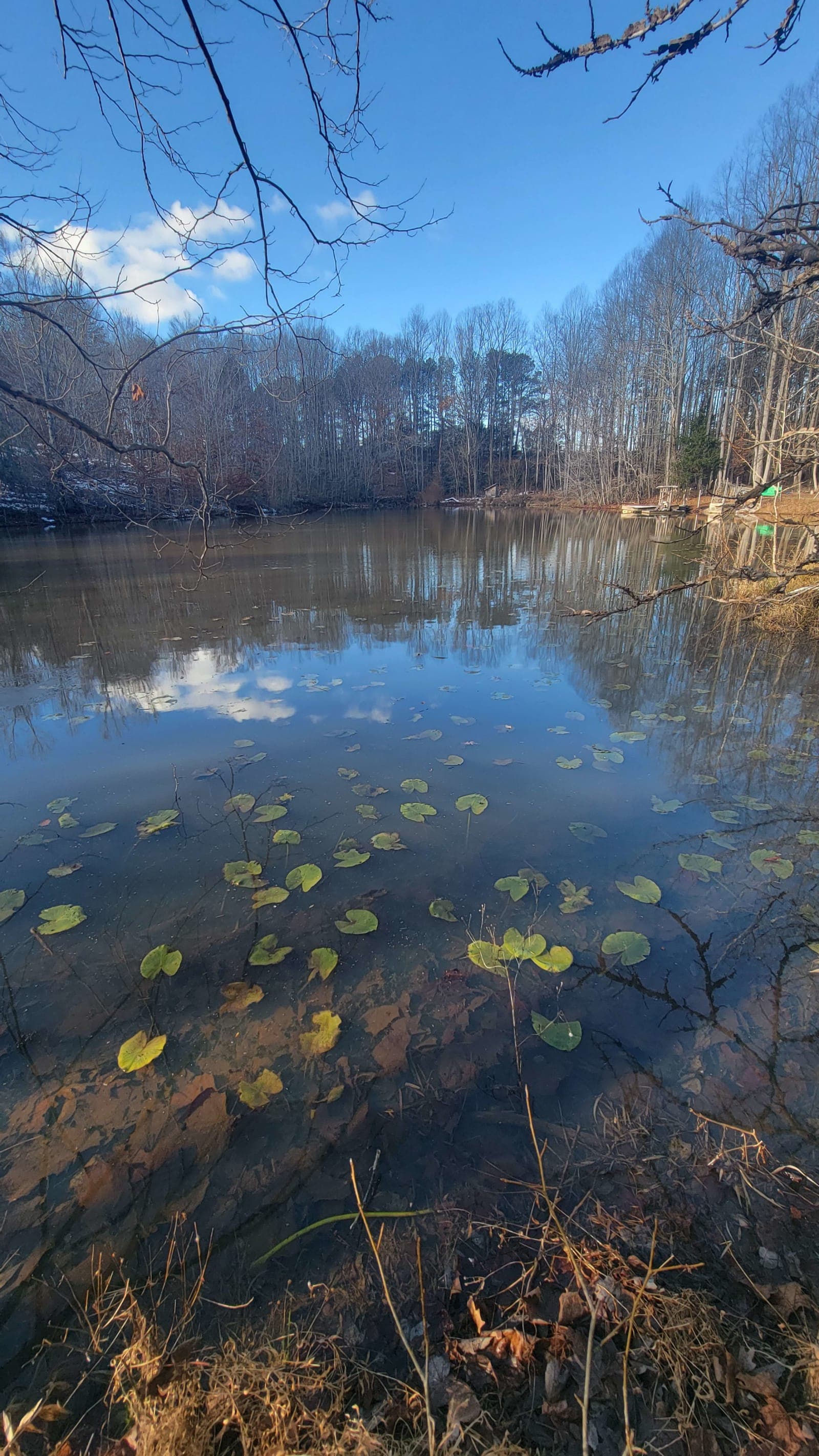 Jolly Pond