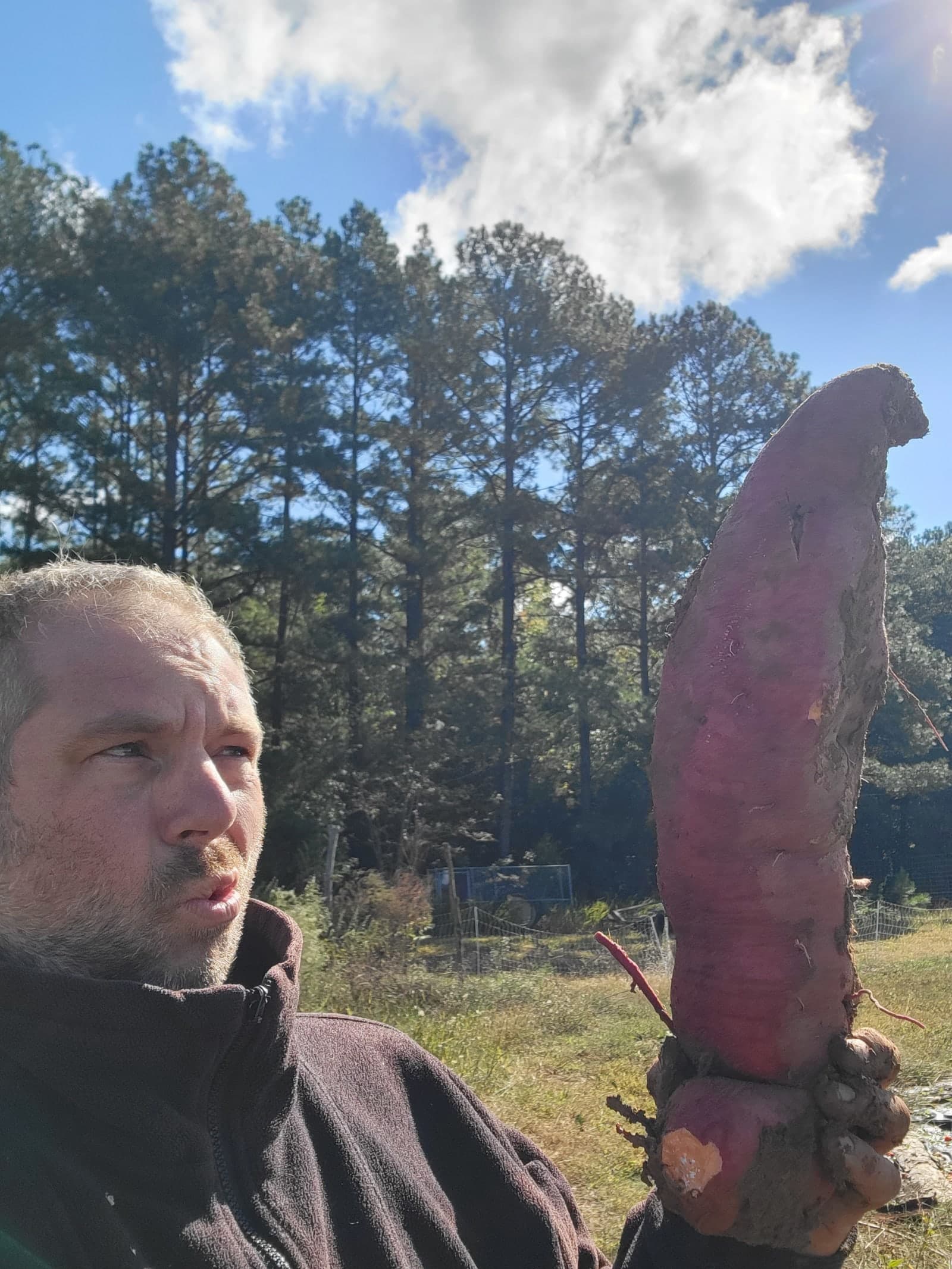 Sweet Potato