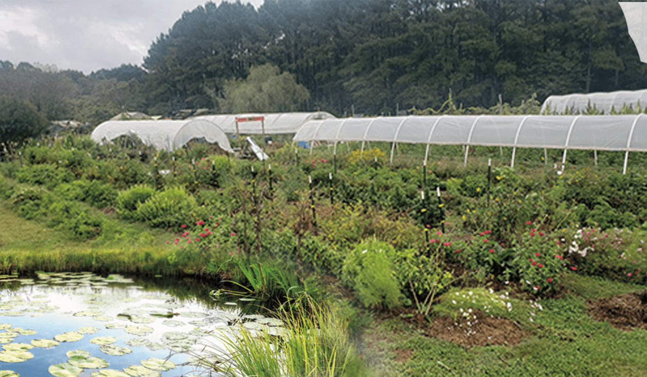 Garden beds, hoop houses, and the pond at Jolly Pond