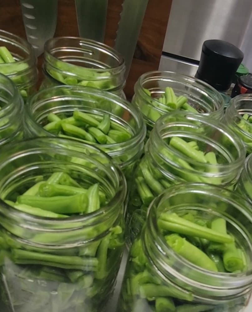 Interior — beans packed for canning